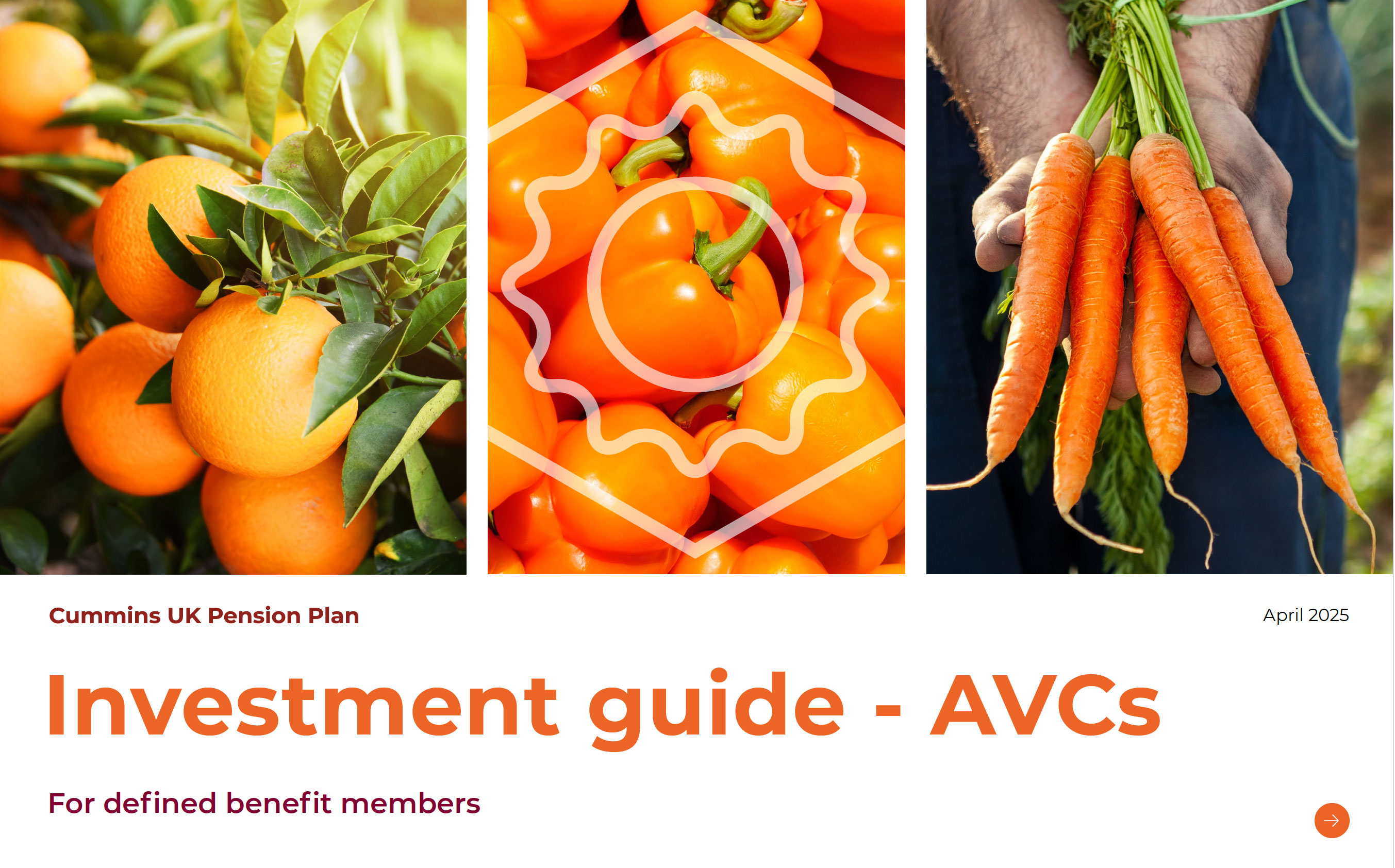 AVCs investment guide document link